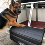 apsauginis kilimėlis, all4dogs