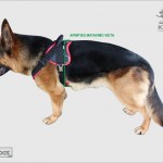 k9profi petnešos šunims