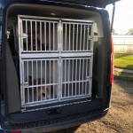 Dviejų aukštų transportavimo narvas