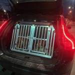 Šunų transportavimo boksas Volvo xc60 automobiliui.
