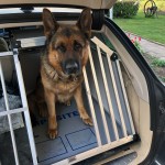 Vienvietis šuns transportavimo narvas