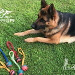 K-9 Profi guminis kamuoliukas, dresūrai, žaidimams